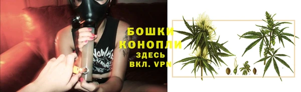 гашиш Богданович