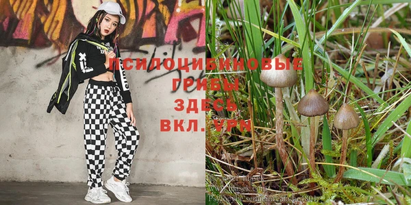 мет Богородицк